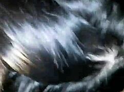 Beautiful Thai Girl Expertly Sucks My Big Cock In Homemade Video