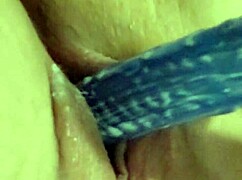 i suggest covering my dildo in cum