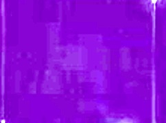 Modelmedia - The Secret of the Family