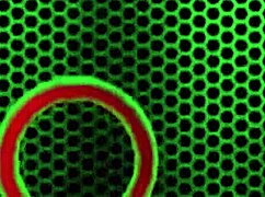 Pawg Kimber Lee Undresses In Lingerie For Solo Session