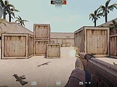 Counter player with 1500hs asks, 'How did a 250hs novice suck me?'