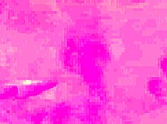 addi crue a newcummer anxiously fucks on film with monster cock in ass and pussy