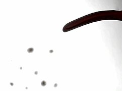 Sex With Vampire Sunflower Hornyside In Horny Compilation!