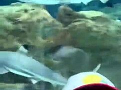 mexico trip where clothes got ripped, more life! 🇲🇽