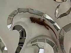 White temple in chiang rai magical travel spot