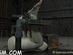 Punished brunette honey in bdsm drawings