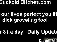 Turning You Into The Perfect Cuckold Slave