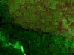 Ebony Amateur Uses Dildo For Self Pleasure Close Up