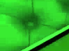 Roblox Cute Moth Girl Throat Fucked