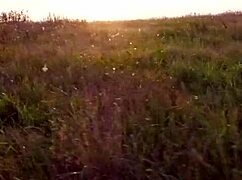 Horny Taxi Driver Fucks Blonde Hard By Car At Sunset - Amateur Outdoor Couple Sex