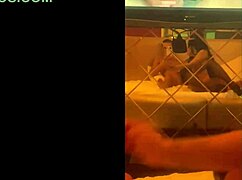 alice fire loves sex hotels