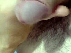 Cabeludo Gato Punheta de Close