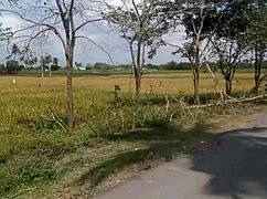 Housewife shows her big boobs in the village house