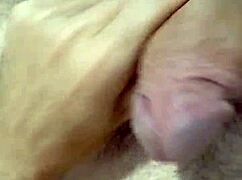 Cabeludo Gato Punheta de Close