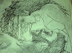 Wow, This Sketch Shows Couple's Lingerie Foreplay!