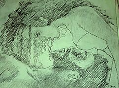 Wow, This Sketch Shows Couple's Lingerie Foreplay!