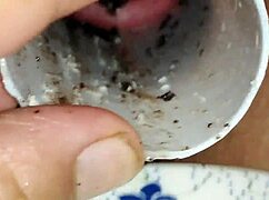 fun pussy play with oreo 😜