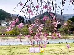 Woman's solo trip to minakami hot springs in gunma