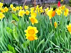 Woman's solo trip to minakami hot springs in gunma