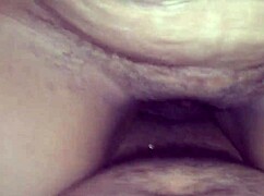 comendo anega do tras barras