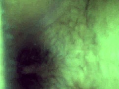 comendo anega do tras barras