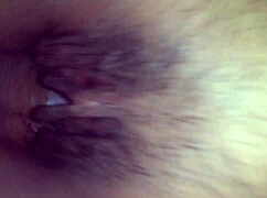 comendo anega do tras barras