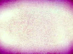 nervous newlywed gets intense sex lessons from experienced milf, taboo thrill