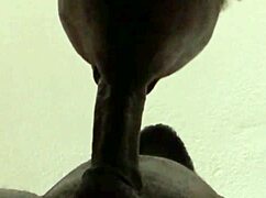 He Cums While I Suck His Big Load