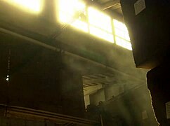 Brunette outdoor fucking feels so passionate