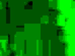 Señora Sucking Dick Nicely