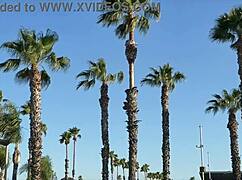 Point break xxx beach movie trailer