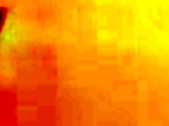 Passionate Lesbian Lovers with Big Asses Engage in Hair Pulling. They moan loudly.