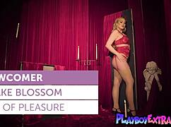 passionate teen 18+ blondie blake blossom is celebrating halloween in red lingerie, stripping slowly