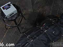 Upside Down Hottie Gets Her Nipps Clipped During Hardcore Sex