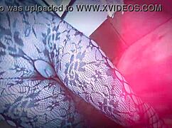 sheerforcreator sell your content on sheer best site with fast payouts