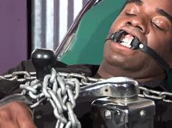 Femdom Domina - Black Ebony - Bdsm Kinky Sexxxx