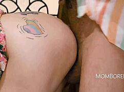 Christie stevens gets freeused in interior design