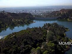 Christie stevens gets freeused in interior design