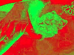 Woman Achieves Goal Of Orgasm In Gym