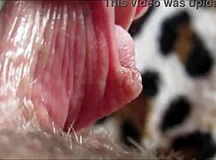 big clit orgasm closeup reveals intense pleasure