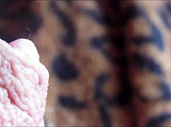 big clit orgasm closeup reveals intense pleasure