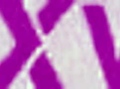 interracial blowjob and handjob from british teen 18+ with monster cock