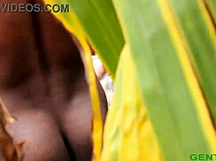 My BBW Housekeeper Bent Over Fucks Me Hard With Big Black Cock