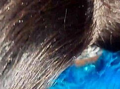 Masked Ebony Performs Blowjob Leading to Cum in Mouth