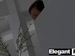 I Like Big Cocks, Sex Tape with Aidra Fox