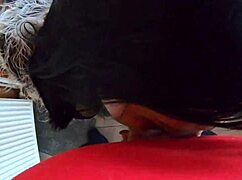 i'm deep-throatin' cum and showin' my camel-toe in leather and fur fetish 255-preview