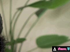 alexis tae, cute ebony babe, got face fucked then ass creampied