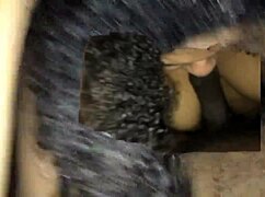 A seductive BBW engages in passionate dick sucking, her lips wrapped around the cock