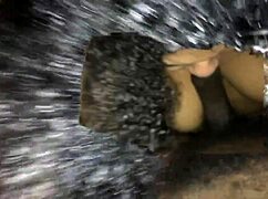 A seductive BBW engages in passionate dick sucking, her lips wrapped around the cock