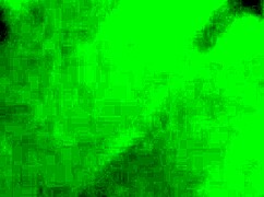 latina babe sucks dick